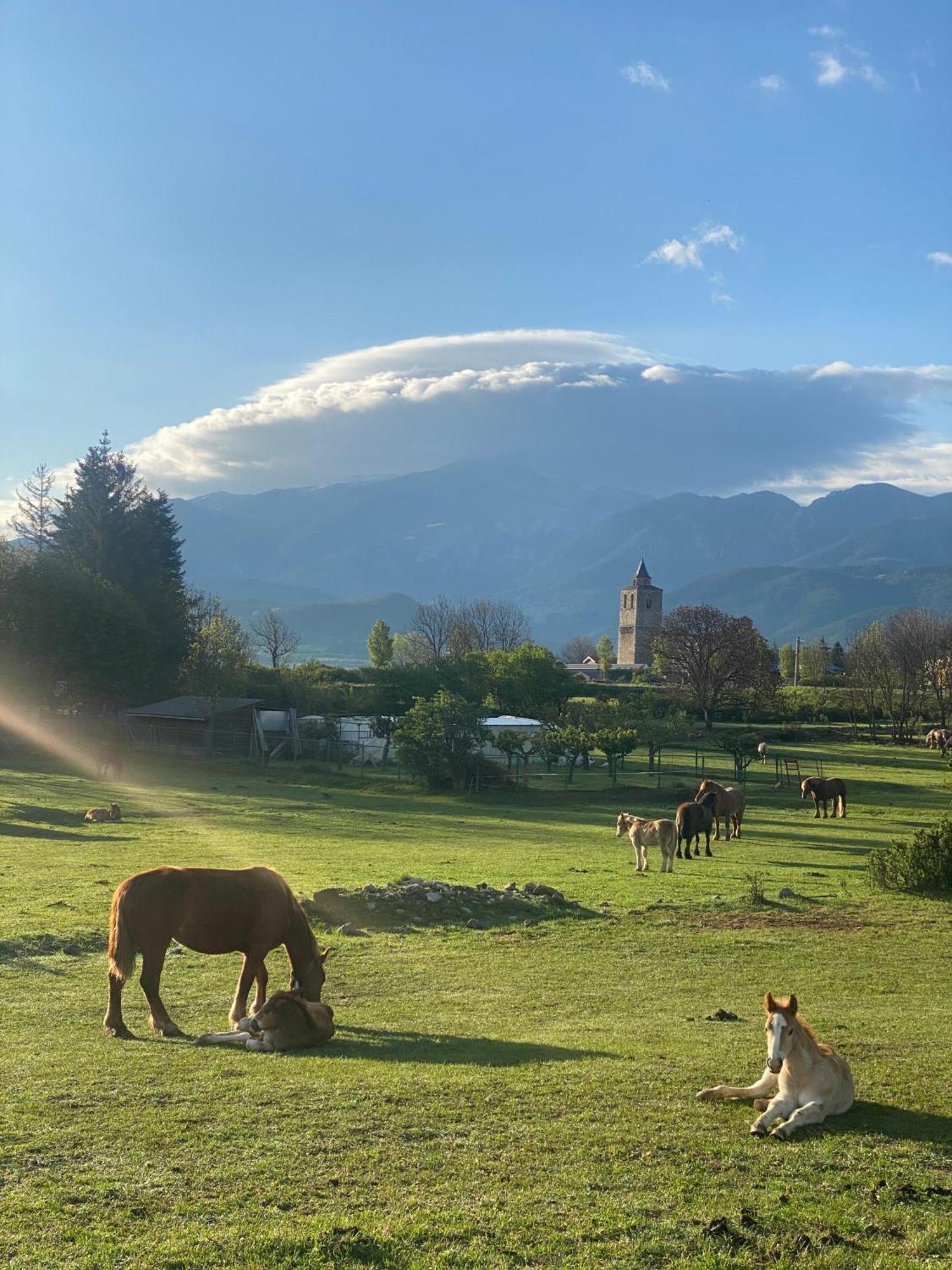 Hotel Cal rei de Talló Bellver de Cerdanya Exterior foto